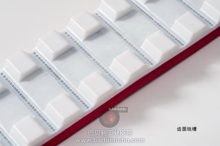 深加工同步帶齒面加工