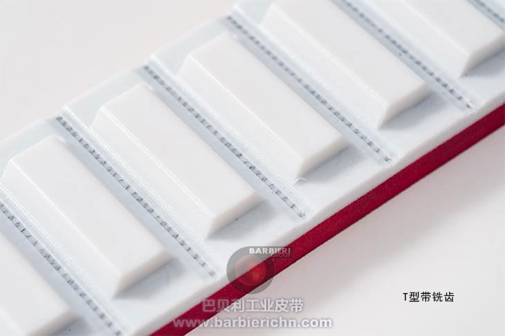 深加工同步帶齒面加工