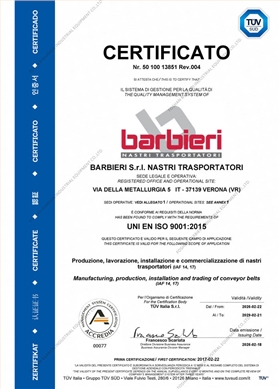 ISO9001 2029-1