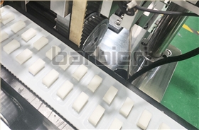 Lithium battery testing line belt