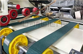 Carton Sealer Drive Belts-2