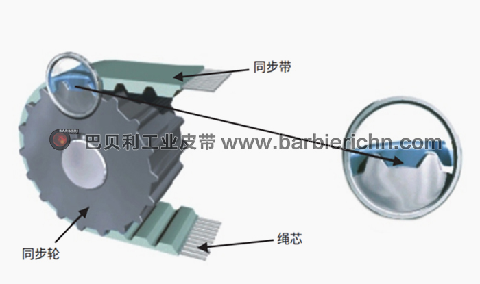 同步带传动