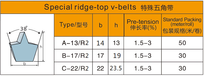 特殊五角带3