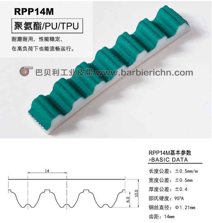 RPP14齿型